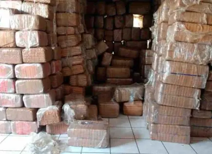 Desmantelan narcolaboratorio en San Blas, Nayarit