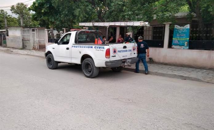Abejas atacan a una familia en la colonia Ampliación Márquez