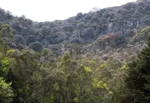 Gallardo, a favor de reforzar normativa para &aacute;reas protegidas
