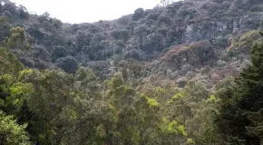 Gallardo, a favor de reforzar normativa para áreas protegidas