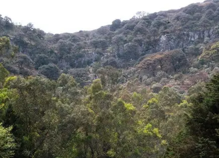 Gallardo, a favor de reforzar normativa para áreas protegidas