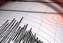 Se registraron sismos en Veracruz, Guerrero y la CDMX Se registraron sismos en Veracruz, Guerrero y la CDMX