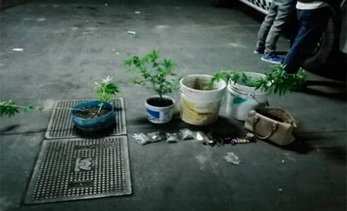 Cae joven por delitos contra la salud en Piquito de Oro