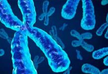 Descifrado el cromosoma Y, la última pieza del genoma humano completo