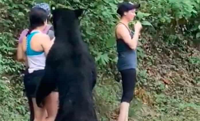 VIDEO: Miles firman petición para no meter al zoológico a oso de la selfie en Chipinque