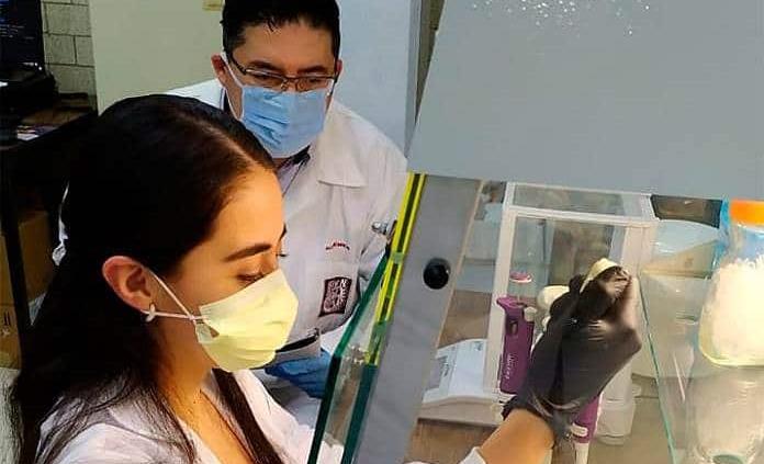 Expertos del IPN desarrollan y evalúan 4 fármacos para reducir tasa de contagio y gravedad de Covid-19