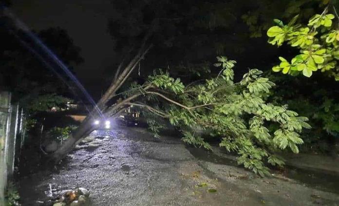 Auxilia Sedena a afectados por derrumbe y río desbordado causa de las lluvias en SLP