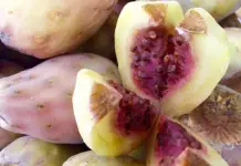 Beneficios del xoconostle para la salud y la alimentaci&oacute;n