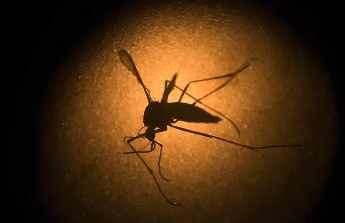 Jalisco confirma caso de malaria en turista colombiano