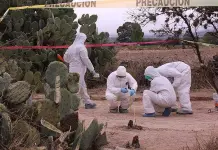 Suman 14 fosas clandestinas localizadas en 2023: FGE