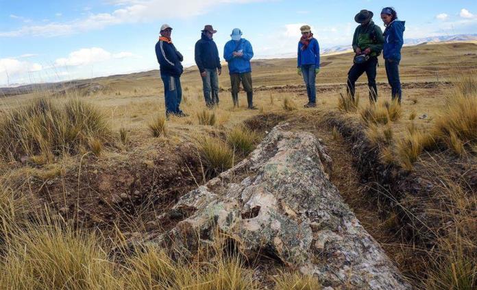 Un árbol fósil reconfigura paisaje de los Andes de hace 10 millones de años