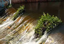 Interapas realiza desfogues ligeros de la presa San Jos&eacute;