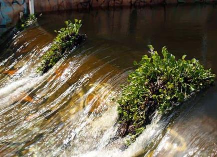 Interapas realiza desfogues ligeros de la presa San José