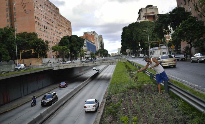 Crecen cultivos urbanos por crisis y pandemia en Venezuela