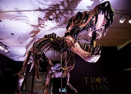 INAH identifica 50 huellas f&oacute;siles de dinosaurios en Michoac&aacute;n