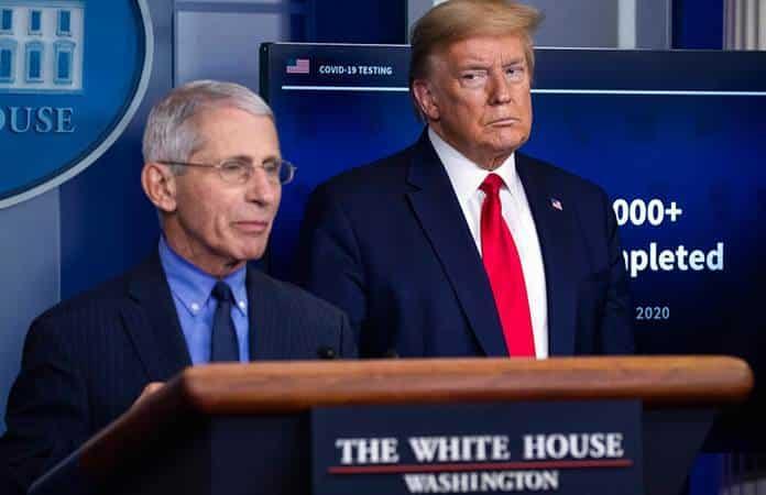 El doctor Anthony Fauci y Donald Trump / Foto: AP