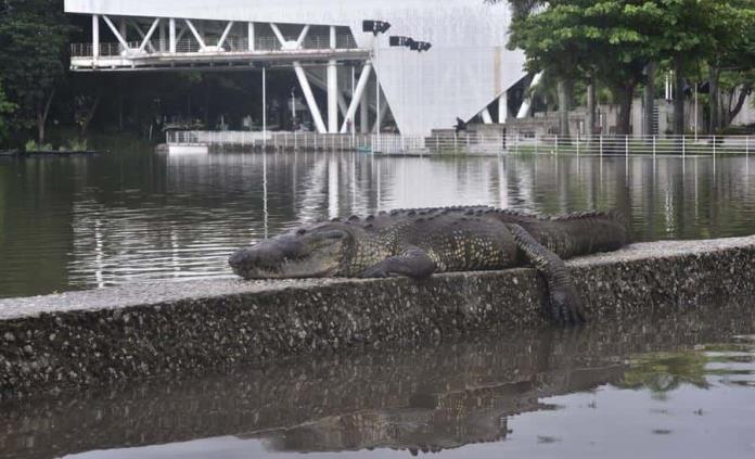 Un muerto y casi 600 mil afectados por lluvias y desfogue de presa en Tabasco