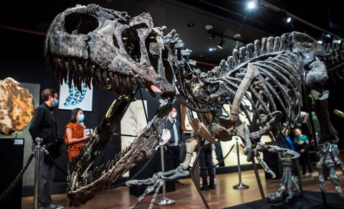 Sale a subasta el esqueleto de un alosaurio