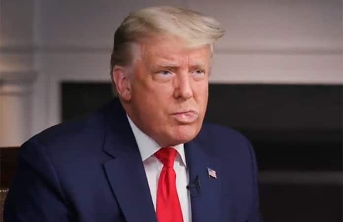 Donald Trump / Especial