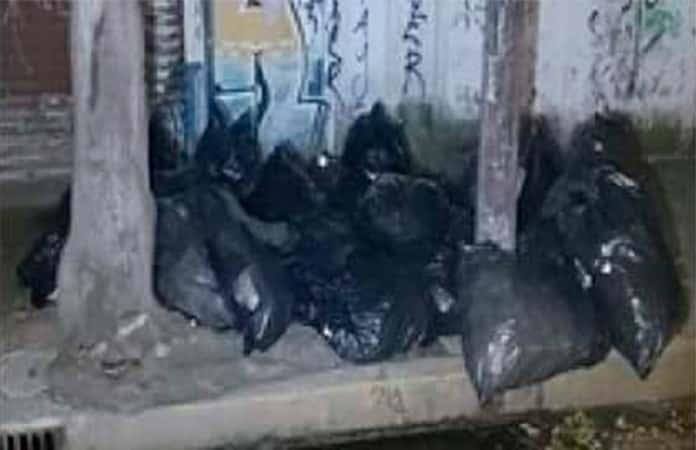 Los medicamentos oncológicos fueron encontrados en Azcapotzalco / Foto: Especial