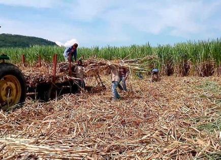 Impacto de la Sequía en la Agricultura Mexicana