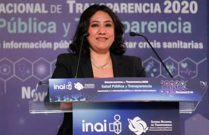 Irma Eréndira Sandoval / SFP