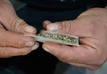 Iglesia mexicana califica de preocupante la despenalización de la marihuana Iglesia mexicana califica de preocupante la despenalización de la marihuana
