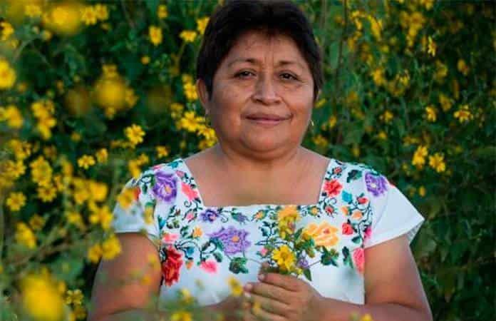 Leydy Pech / Archivo