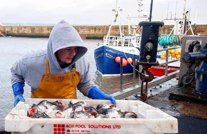 La UE quiere que los pescadores europeos tengan acceso a las aguas británicas / Foto: AP