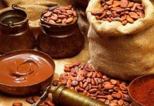 El cacao: un regalo de los dioses mayas
