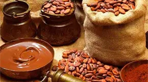D&iacute;a del Cacao y el Chocolate en M&eacute;xico: 5 beneficios