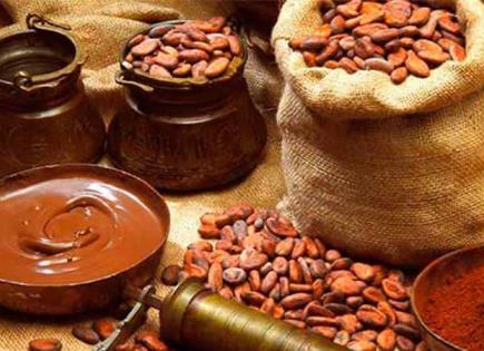 El cacao: un regalo de los dioses mayas