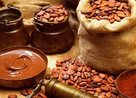 Día del Cacao y el Chocolate en México: 5 beneficios Día del Cacao y el Chocolate en México: 5 beneficios