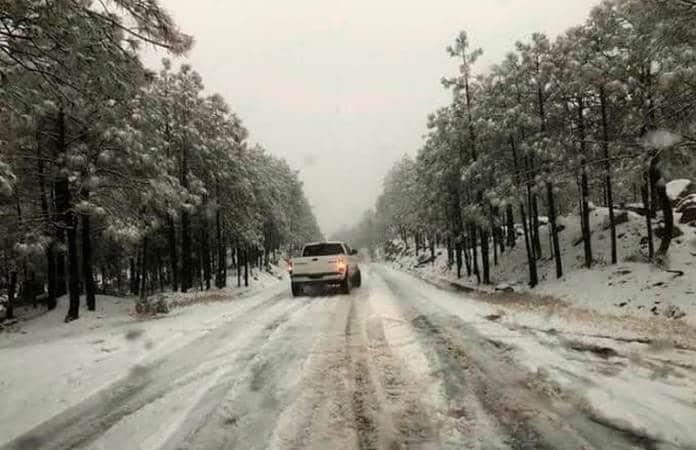 Foto: Coordinación Estatal de Protección Civil Chihuahua