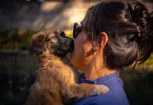 Inadecuadas, dietas veganas o crudívoras para perros y gatos (Video)