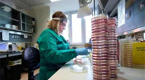 Hallan nueva v&iacute;a para intentar frenar enfermedad de Huntington