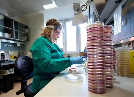 Hallan nueva v&iacute;a para intentar frenar enfermedad de Huntington