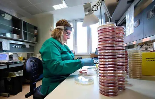 Hallan nueva v&iacute;a para intentar frenar enfermedad de Huntington