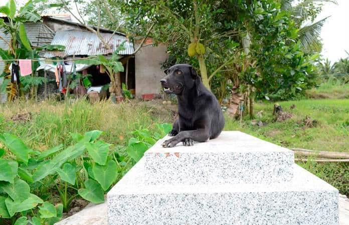 Foto: EFE