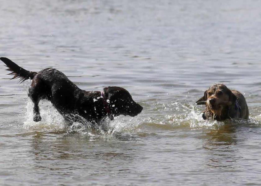 Foto: AP