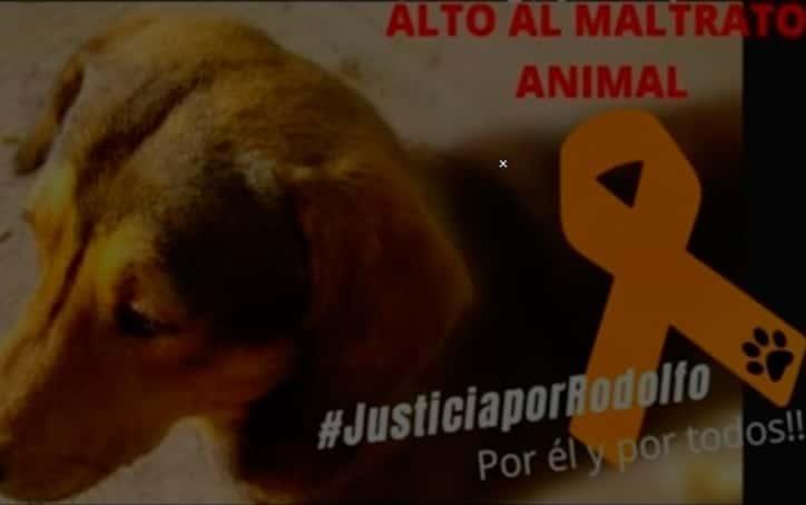 Foto: Especial
