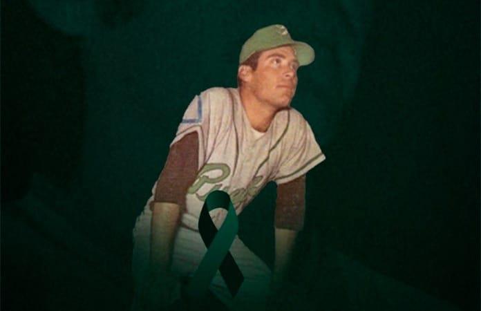 Foto: Pericos de Puebla