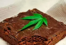 Detalles sobre la salud de estudiantes de la UAS tras consumo de brownies Detalles sobre la salud de estudiantes de la UAS tras consumo de brownies