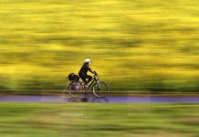 Viena destina 100 millones a zonas verdes y carriles bici para hacer frente al calor