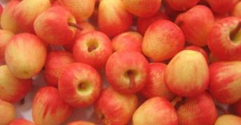 Beneficios de las manzanas en la salud y nutrición