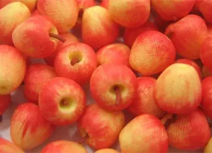 M&eacute;xico inicia investigaci&oacute;n antidumping contra manzanas de EU