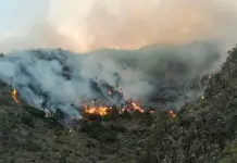Incendios forestales en México se triplican por clima seco