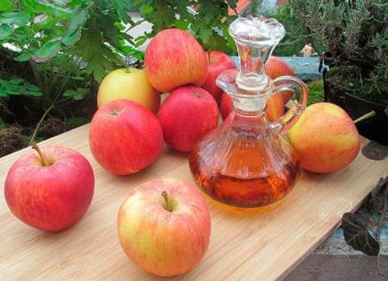 Importancia de la higiene en la alimentación con manzanas