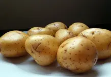 Preocupa a productores mexicanos importaciones de papa