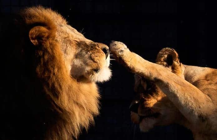 Foto: EFE